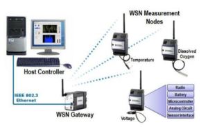 Common WSN Architecture